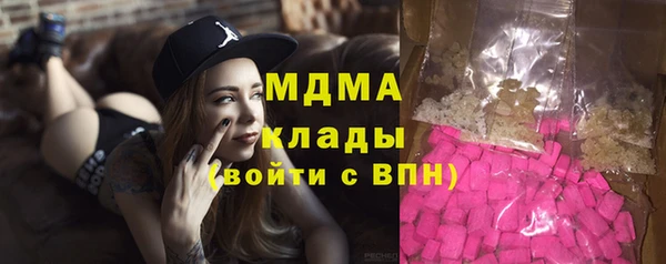индика Козельск