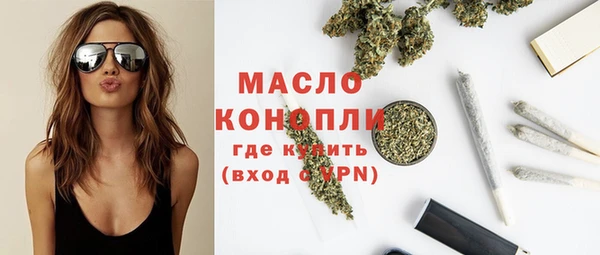 индика Козельск