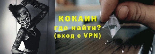 индика Козельск