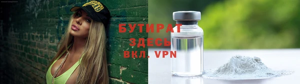 индика Козельск