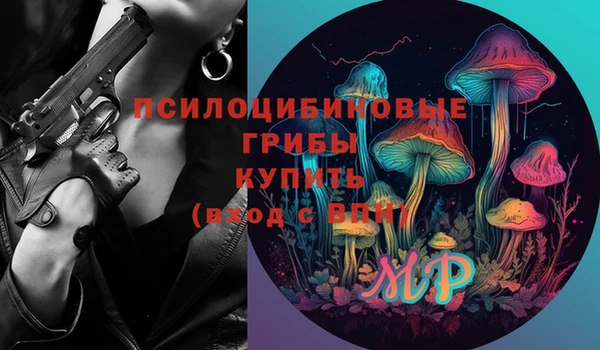соль ск Кодинск