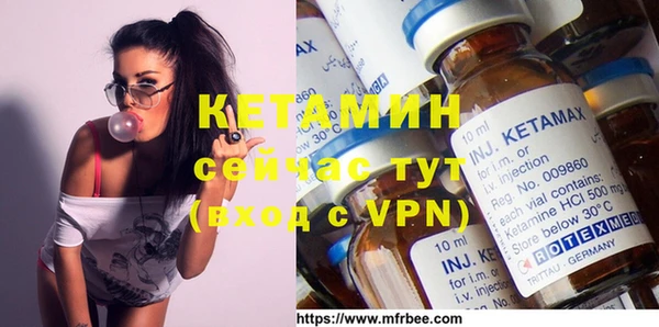 индика Козельск