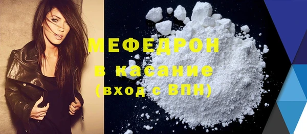 индика Козельск