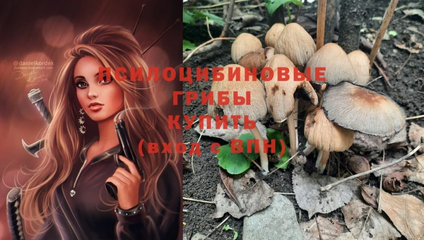 mix Костерёво