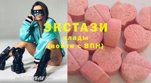 индика Козельск