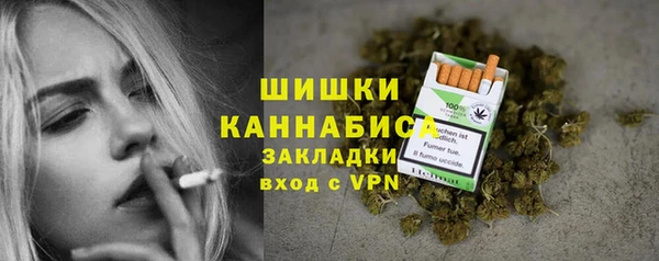 индика Козельск