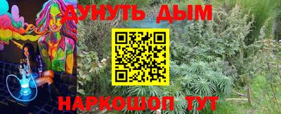 прущие грибы Ипатово
