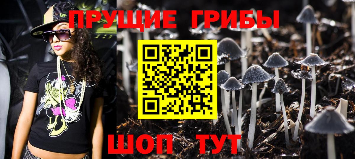 Псилоцибиновые грибы Psilocybe  Вход с VPN  Лабинск 