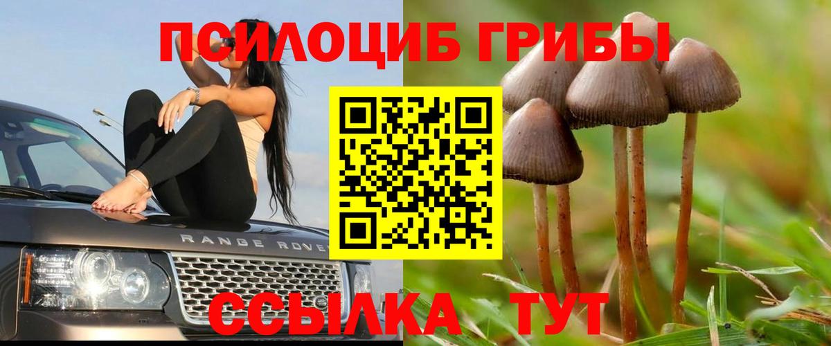 Псилоцибиновые грибы мицелий Лабинск